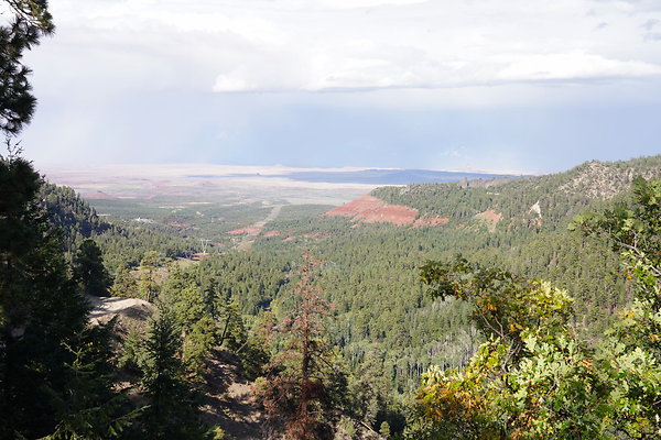 buffalo-pass-013