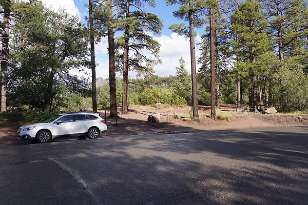 buffalo-pass-005