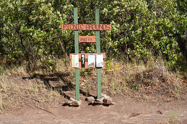 buffalo-pass-001
