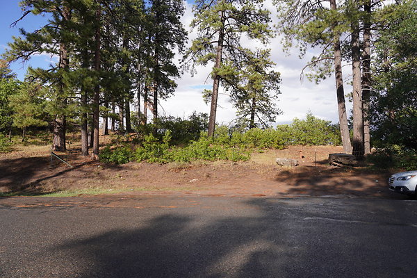 buffalo-pass-004