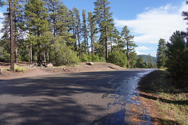 buffalo-pass-006