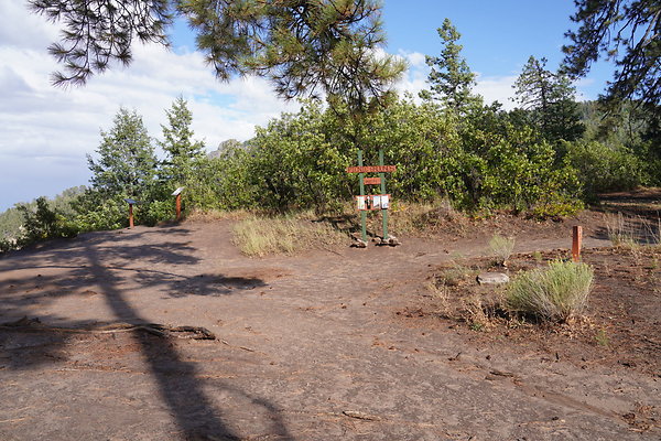 buffalo-pass-008